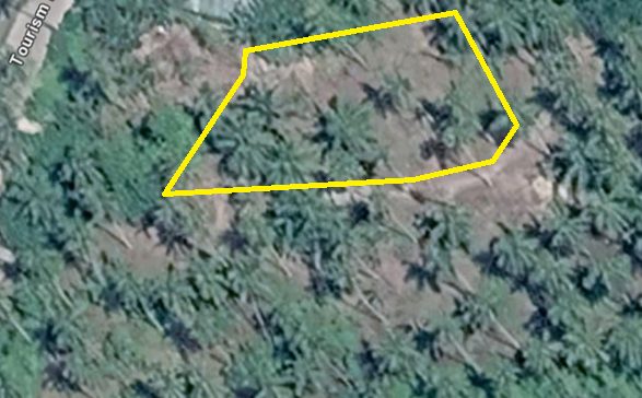 The parcel at General Luna seen from above